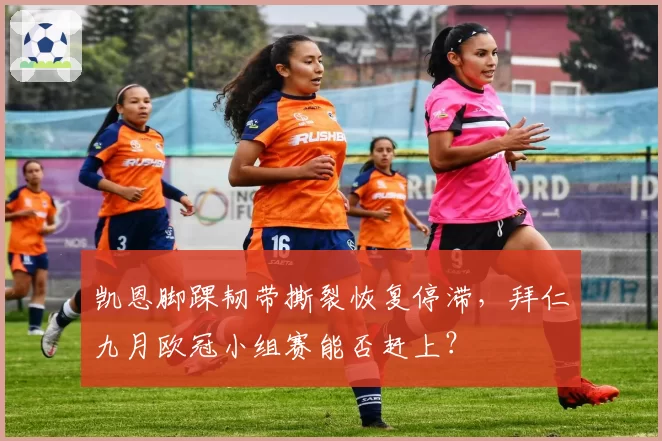 凯恩脚踝韧带撕裂恢复停滞，拜仁九月欧冠小组赛能否赶上？