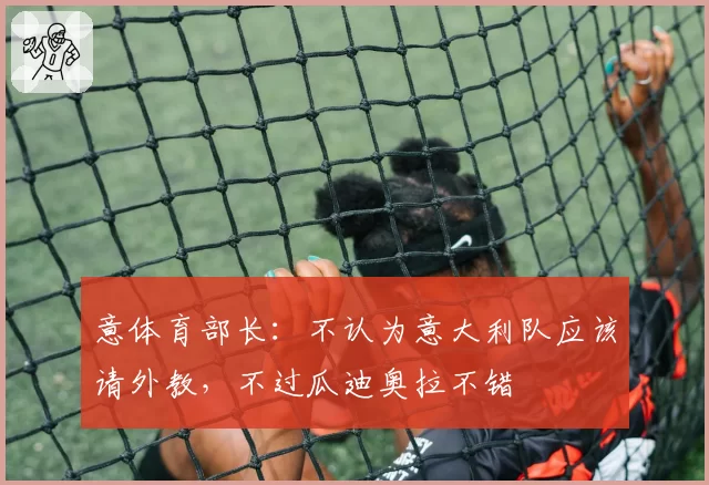 意体育部长:不认为意大利队应该请外教,不过瓜迪奥拉不错