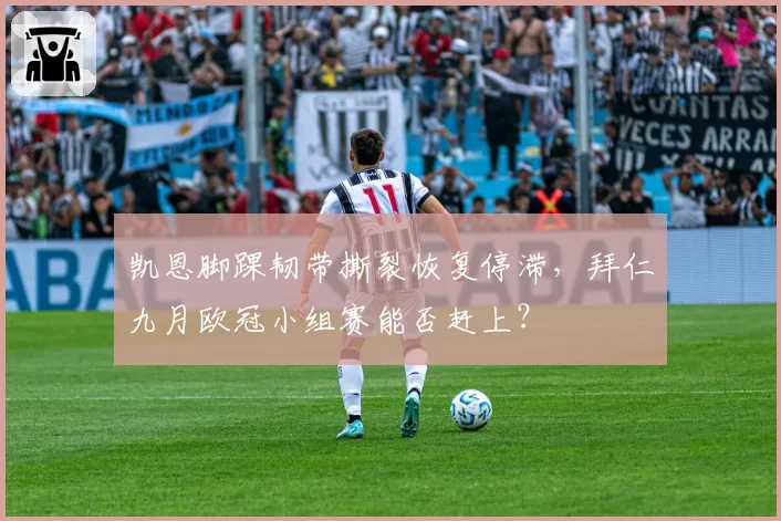 凯恩脚踝韧带撕裂恢复停滞，拜仁九月欧冠小组赛能否赶上？