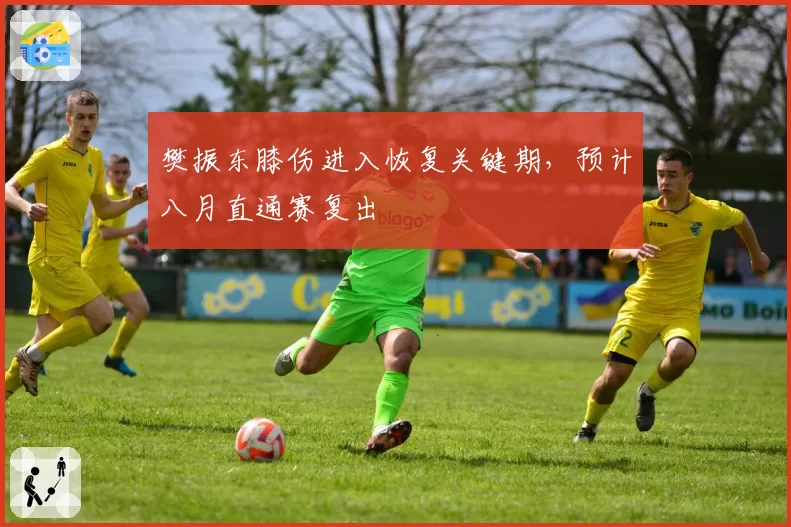 樊振东膝伤进入恢复关键期,预计八月直通赛复出