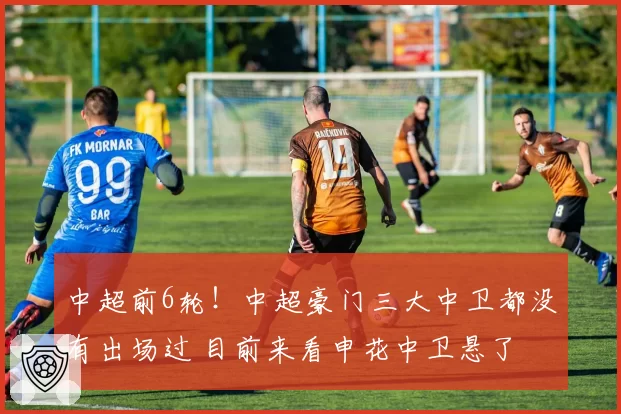 中超前6轮!中超豪门三大中卫都没有出场过 目前来看申花中卫悬了