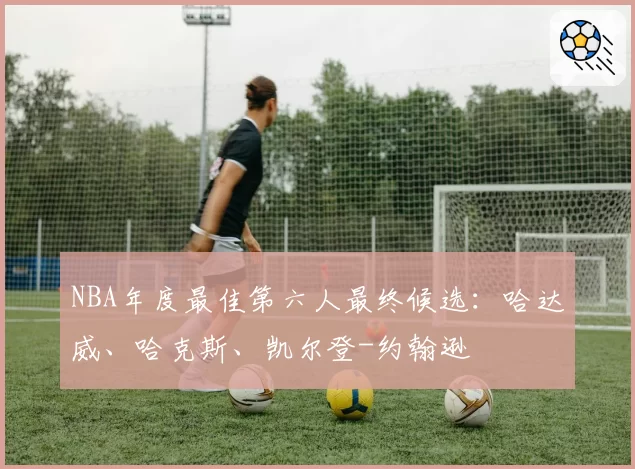 NBA年度最佳第六人最终候选：哈达威、哈克斯、凯尔登-约翰逊