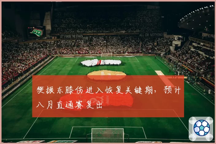 樊振东膝伤进入恢复关键期,预计八月直通赛复出